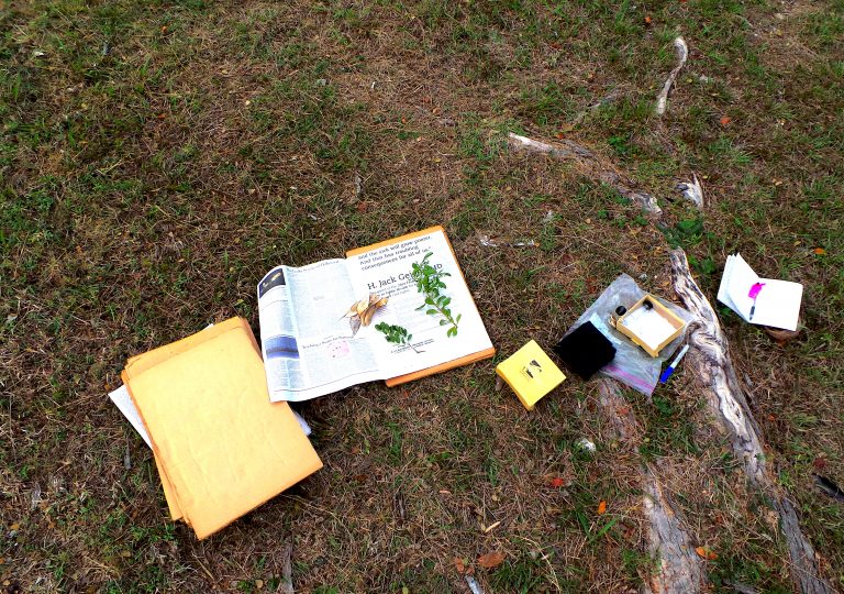 Collecting herbarium specimens and samples - Bahamas