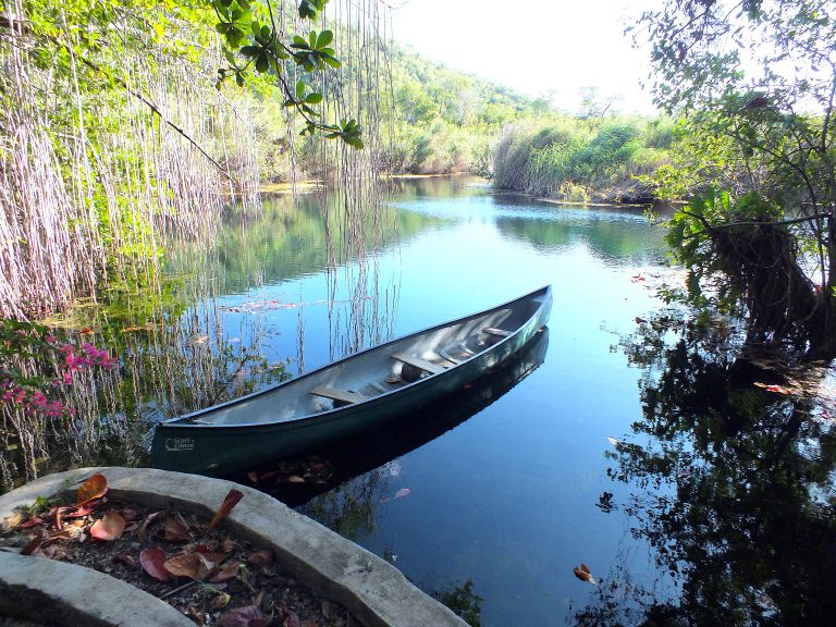 Alligator Hole 2 - Jamaica