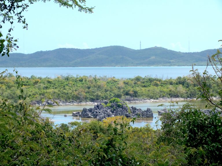 Punta Guaniquilla - Puerto Rico